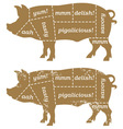 Barbecue Pig Design Element vector image