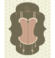 Vintage corset Vintage corset vector image