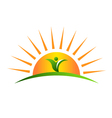 Plant in sunrise logo vector image