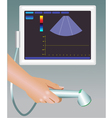 Ultrasound vector image