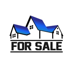 For Sale House vector image