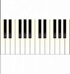 Piano keyboard vector image