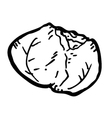 Cabbage doodle vector image