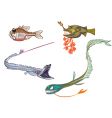 Fish vector image
