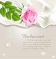 Silk and rose background vector image