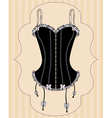 Sexy vintage corset vector image