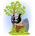 Black grouse on hemp vector image