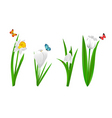 White spring flowers vector image
