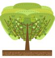 Stylized tree illustration vector image