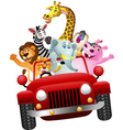 African animals in red car vector image