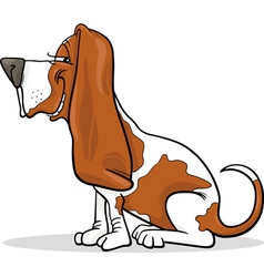 Basset hound dog cartoon vector image