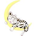 Tiger cub vector image