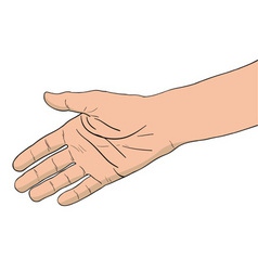 Right hand isolated on the white vector image