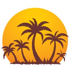 Palm trees and summer sunset vector image