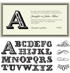 Wedding invite vector image