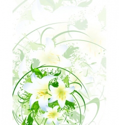 Lilies vector image