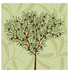 Olive vector image