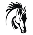 Horse vector image