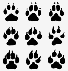 Paw of dogs vector image