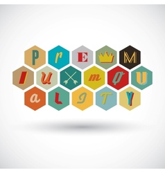 Premium quality badge vector image
