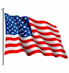 American flag vector image