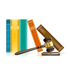 Gavel and books vector image