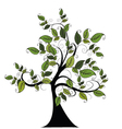 Nature tree vector image