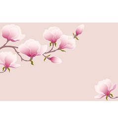 Tender magnolia vector image