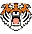Tiger head tattoo vector image
