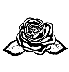 Abstract black and white rose vector image
