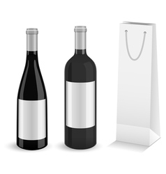 Wine bottles with bottle gift bag vector image