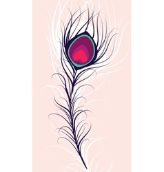 Beauty peacock feather vector image