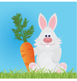 Bunny vector image