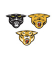 Panther Big Cat Growl Head Isolated vector image