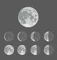 Moon Moon vector image
