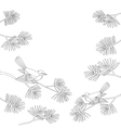 Titmouse on pine branch contour vector image