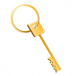 Gold key vector image