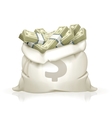 Moneybag vector image