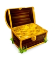 Chest vector image