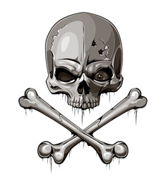 Decrepit skull with two crossed bones vector image