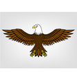 Eagle vector image