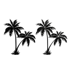 Palm trees black silhouettes vector image