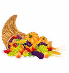 Cornucopia vector image