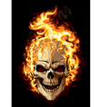 Burning skull on black background vector image