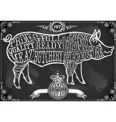 Vintage Blackboard Cut of Pork vector image