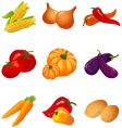 Vegetables vector image