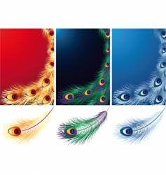 Feather vector image
