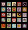 Twenty five Asian flowers vector image