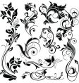 Floral design vector image