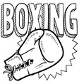 Boxing vector image